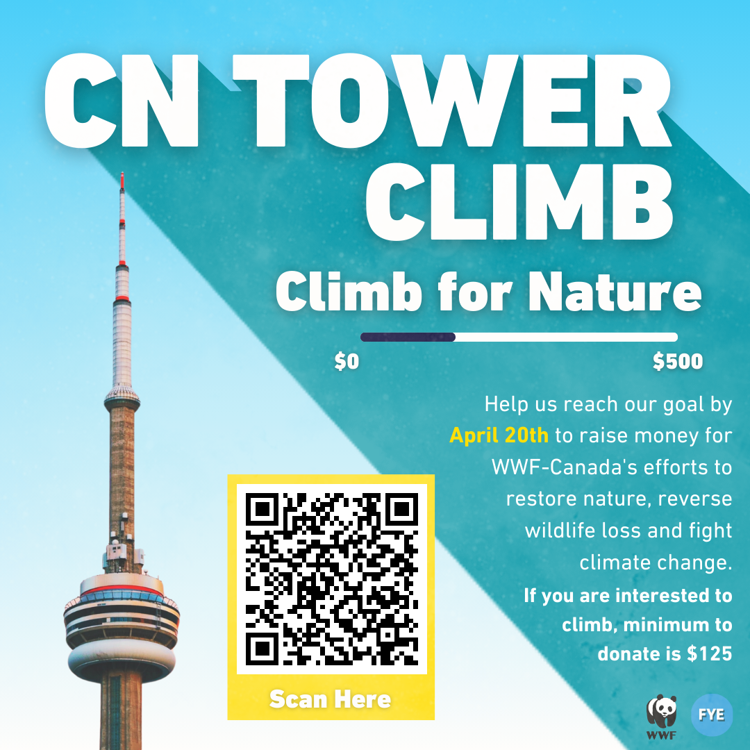 CN Tower Climb Climb for Nature Humber Communiqué